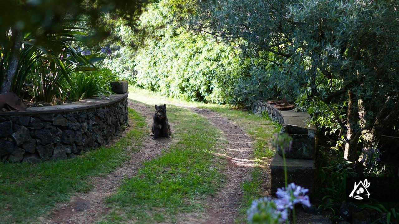 Quinta Do Paraiso Porto Martins Esterno foto
